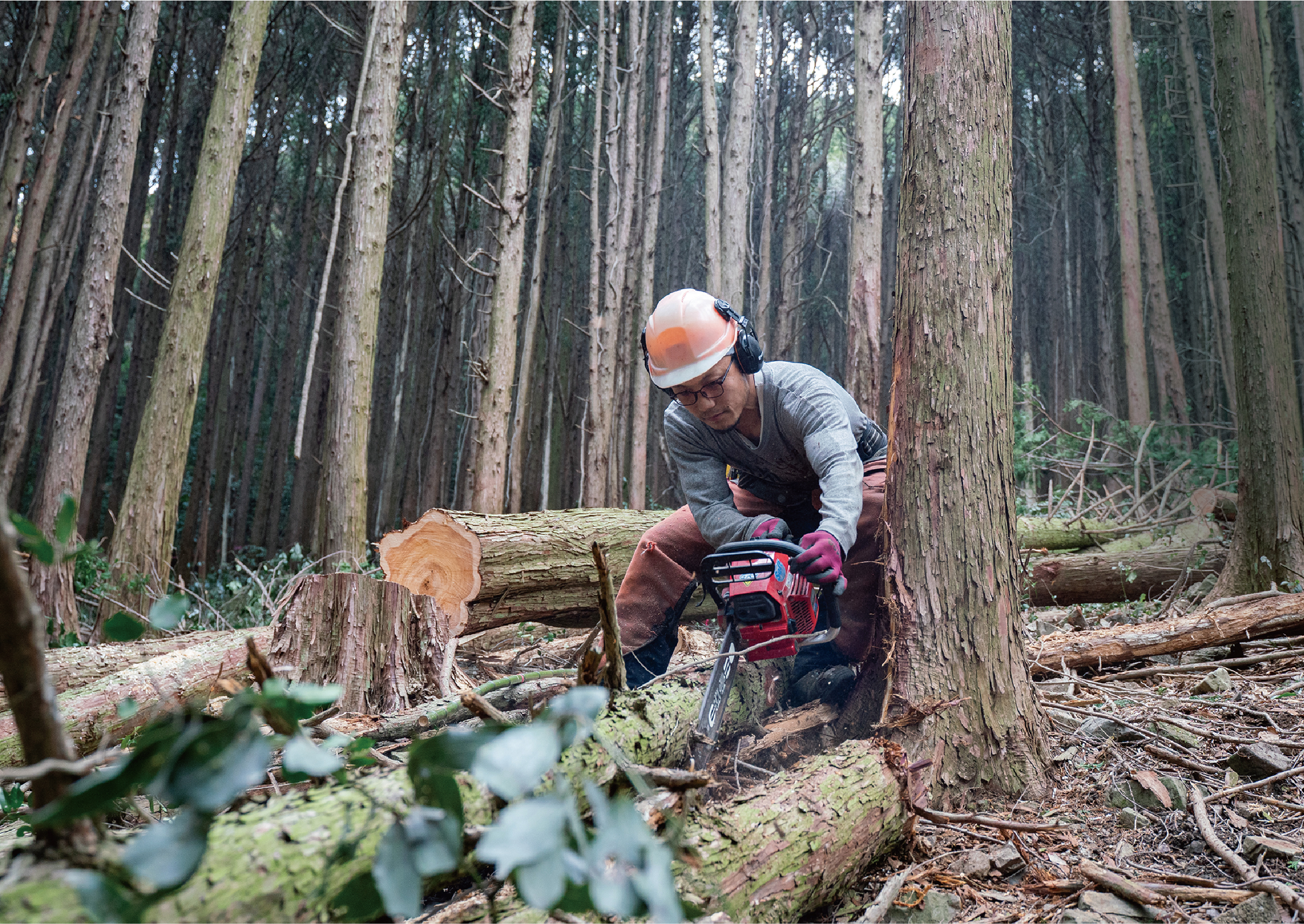 地域の森から、家具を生み出す。